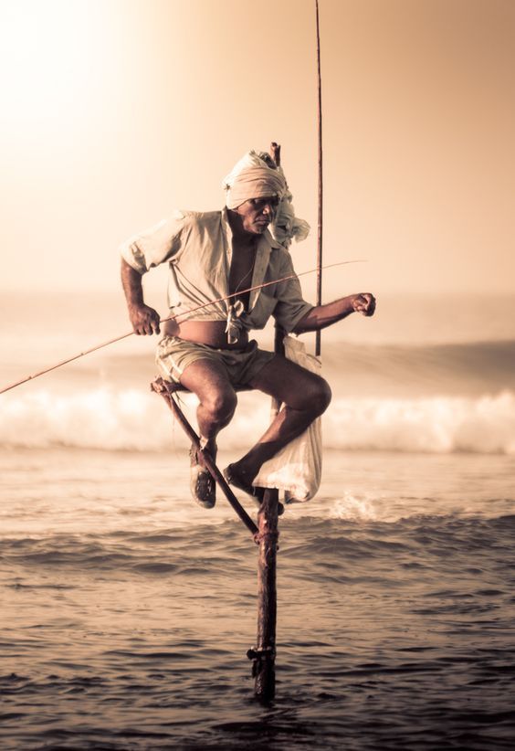 Sri Lankan Stilt Fishermen
